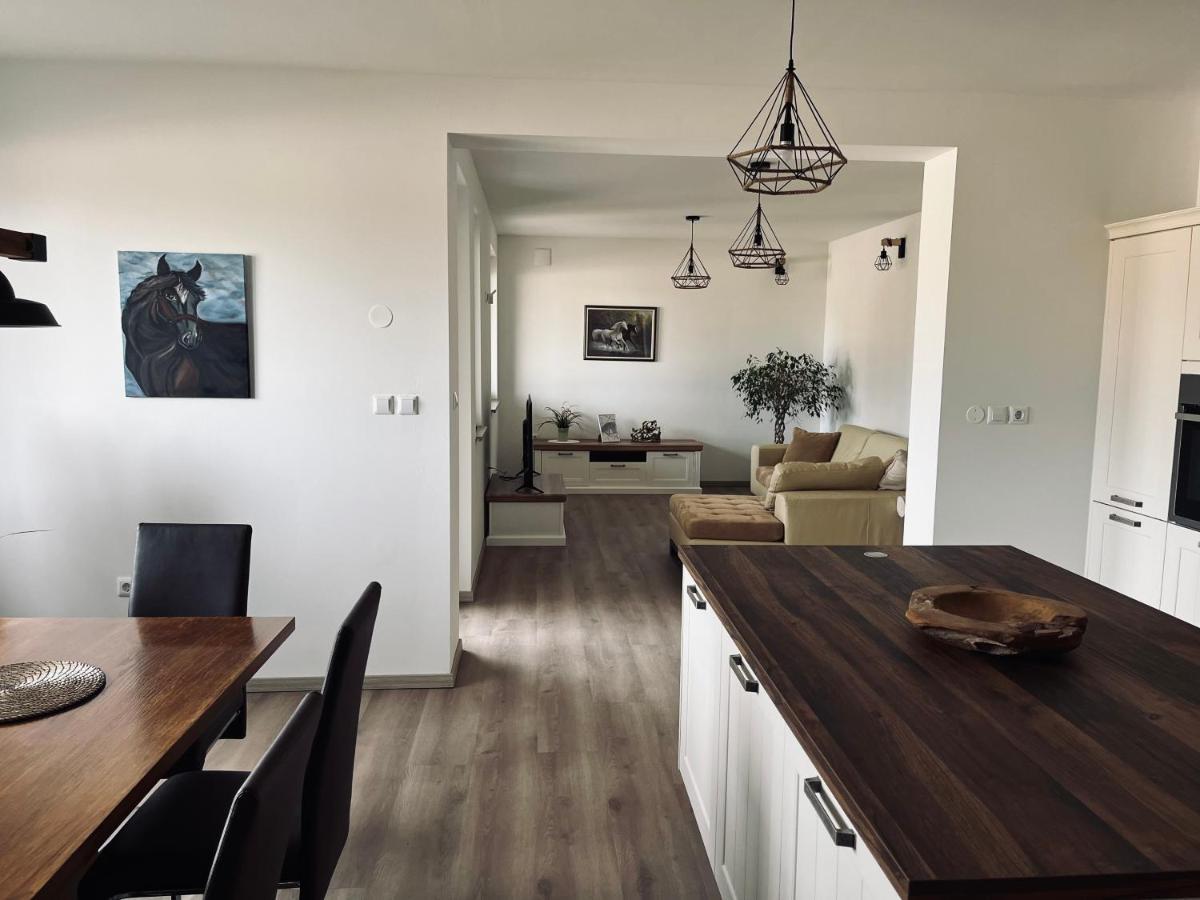 Tisina Apartment Country House Zaton מראה חיצוני תמונה