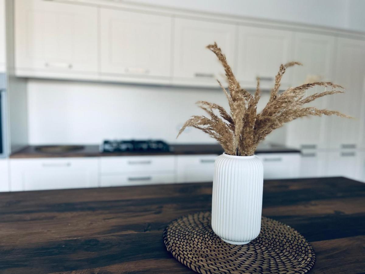 Tisina Apartment Country House Zaton מראה חיצוני תמונה